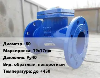 Клапан стальной 80 19с17нж Ру40 обратный, поворотный до +450